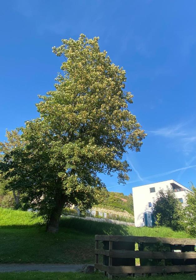 Zentral & Maritim Apartment Harzperle 3 Bad Harzburg Bagian luar foto
